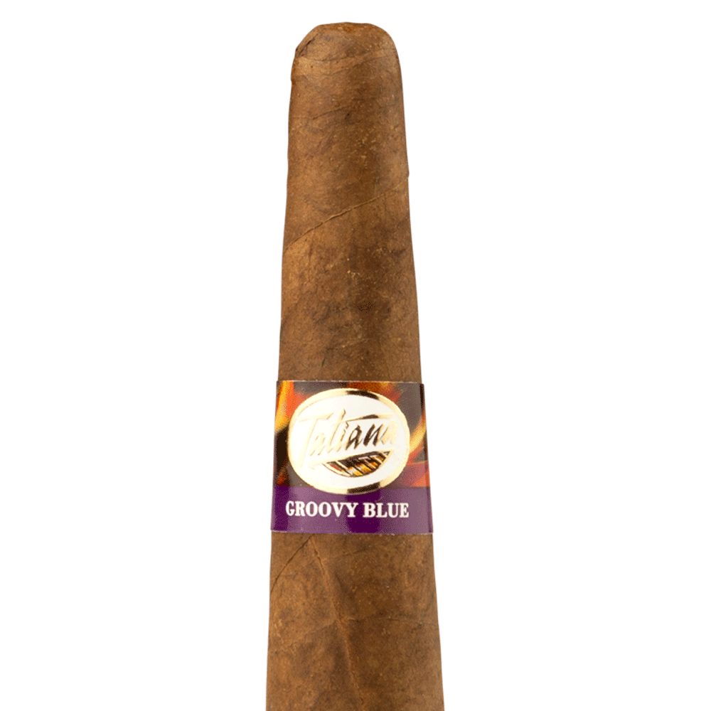 Amore Exclusive, , cigars